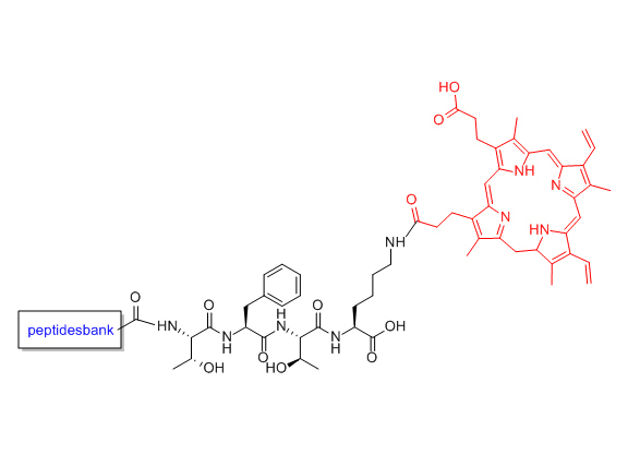 Porphyrin modification