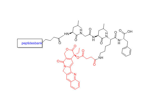 Camptothecin modification