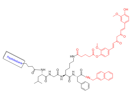 Curcumin modification