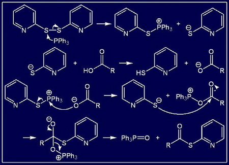 Peptide manufacturers introduce you to bioactive peptides