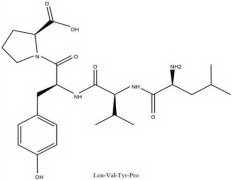 What is synthetic peptide and its characteristics