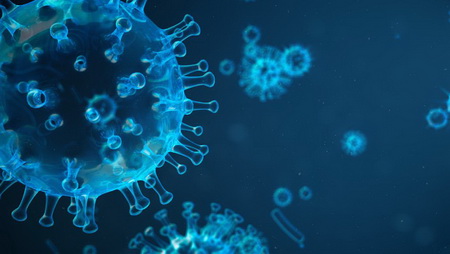 Ten characteristics of the absorption mechanism of synthetic peptides