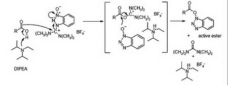 Peptide synthesis: the efficacy and function of peptides